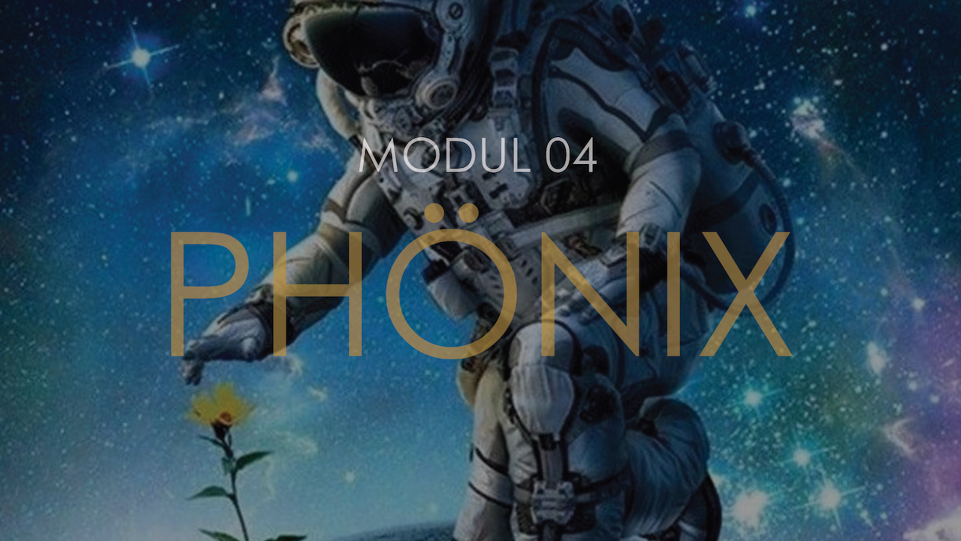 Phönix | Modul 04